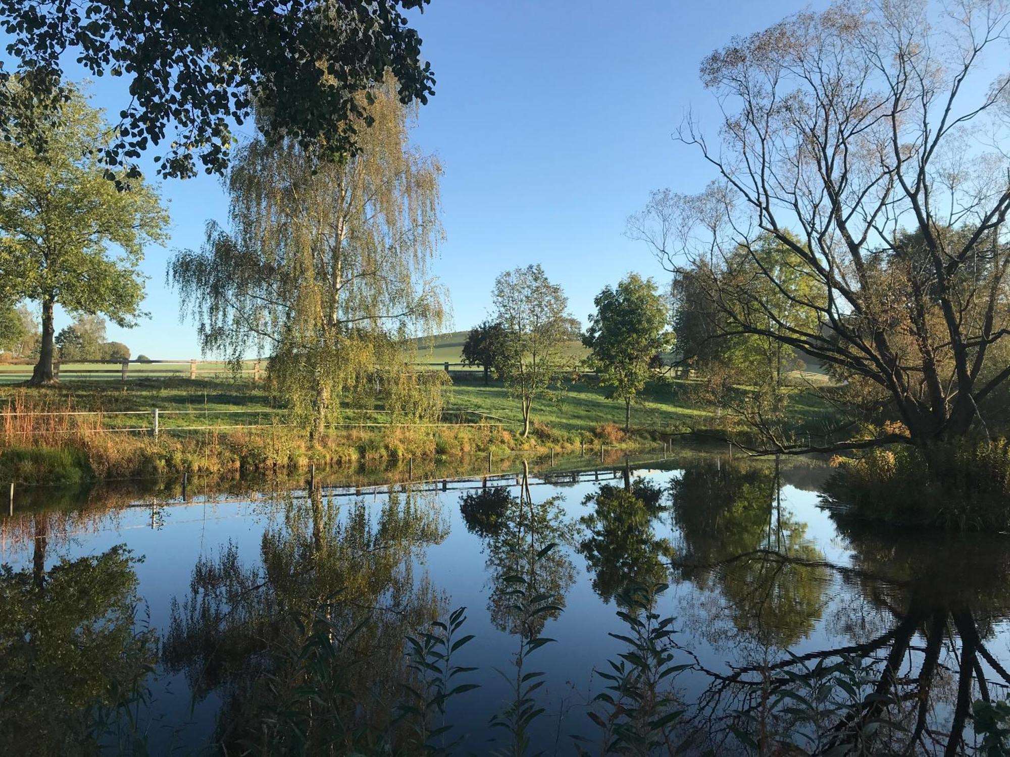 Tinyhousebeidresden 1 - Direkt Am Naturteich - Naehe Saechsische Schweiz, Dresden Grossharthau Экстерьер фото
